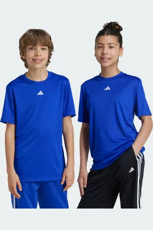 adidas Train Essentials Logo Regular Fit T-skjorte