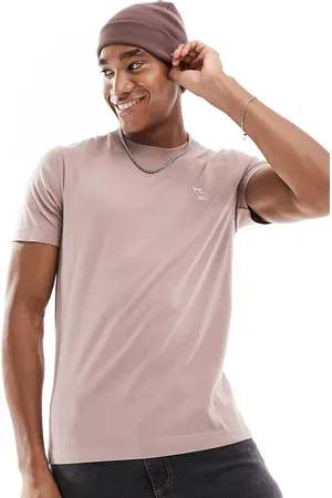 Abercrombie & Fitch Elevated icon logo t-shirt in taupe