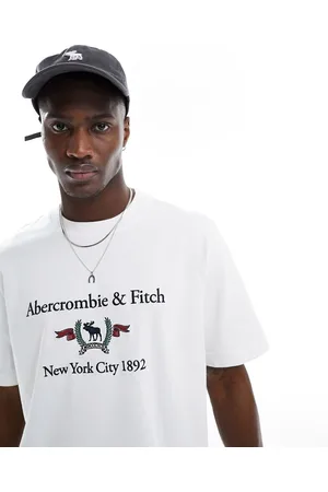 Abercrombie & Fitch Heritage crest logo t-shirt in bright