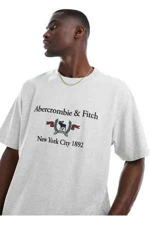 Abercrombie & Fitch Heritage crest logo t-shirt in marl
