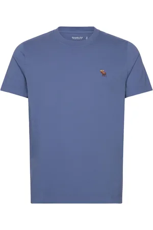 Abercrombie & Fitch Anf Mens Knits Tops Shirts Short-sleeved Shirts Blue