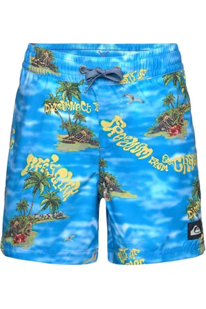 Quiksilver Everyday Straight Volley Yth14 Badeshorts Blue