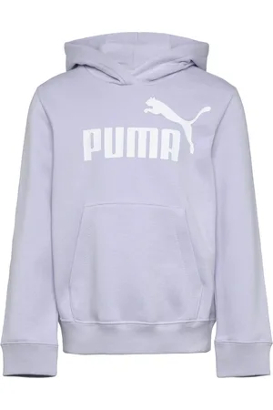 PUMA Ess No. 1 Logo Hoodie Fl G Blue