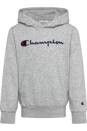 Champion Hooded Sweatshirt Grey