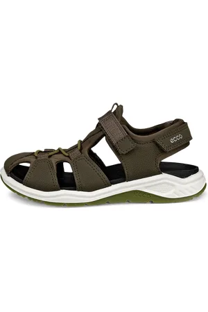 Ecco Trinsic K