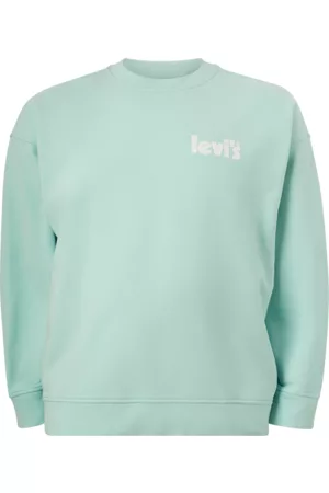 Levi's Collegegenser Big Relaxed Graphic Crew Plus - Blå